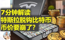 特斯拉暂停比特币支付(比特币中国禁止后怎么提现)