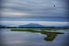 和田玉一条大河(和田玉河里面的玉叫什么)