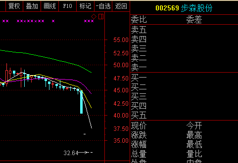 步森股份股票(步森股份最新消息)