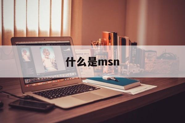 什么是msn:(msn是干什么用的)