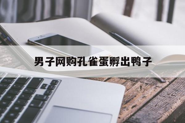 男子网购孔雀蛋孵出鸭子:(网上买的孔雀蛋可以孵化吗)