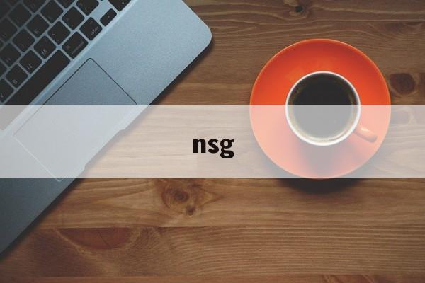 nsg:(nsg集团简介)